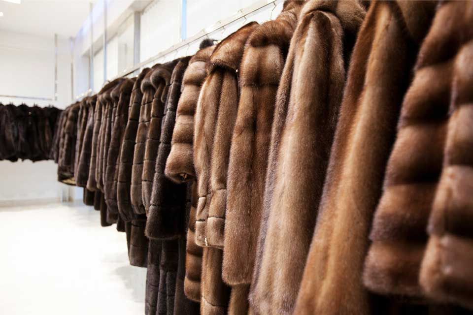 pelliccia per donna, accessori, riparazione pellicce, rimessa a modello, laboratorio artigianale a Voghera, Pavia, Tortona e alessandria