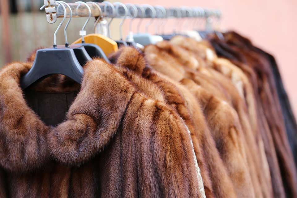 pelliccia per donna, accessori, riparazione pellicceria bettagio pellicce, rimessa a modello a Voghera, Pavia, Tortona e alessandria